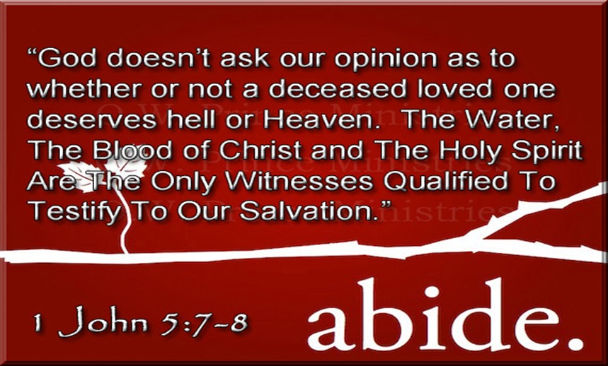 Testimony of Salavtion 1 John